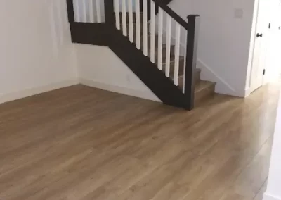 Professional Cleaning Service