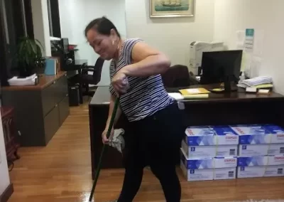 Professional Cleaning Services (1)