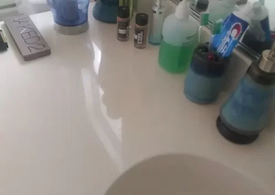 Professional Cleaning Services (12)