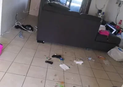 Professional Cleaning Services (13)