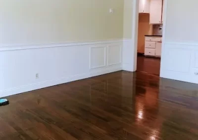 Professional Cleaning Services (15)