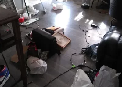 Professional Cleaning Services (17)