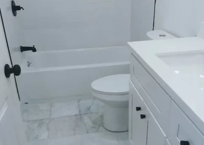 Professional Cleaning Services (18)