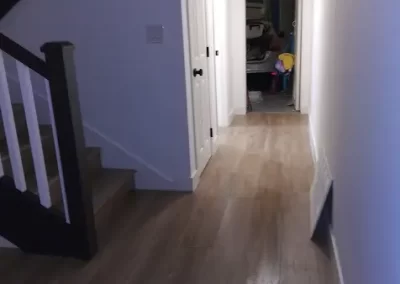 Professional Cleaning Services (19)