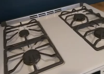 Professional Cleaning Services (20)