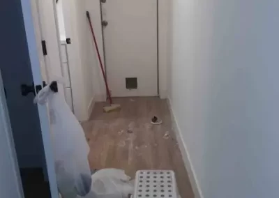 Professional Cleaning Services (3)