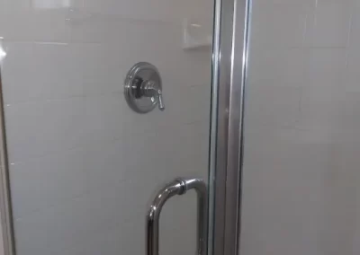 Professional Cleaning Services (6)