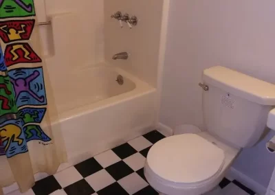 Professional Cleaning Services (8)